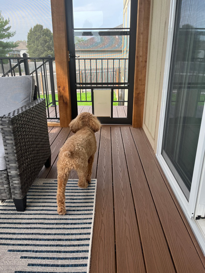 Doggy Door + Storm Door